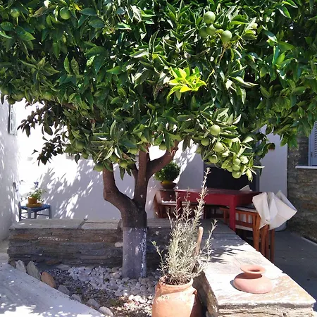 Holiday home το πέτρινο, άνδρος,μεσαριά *